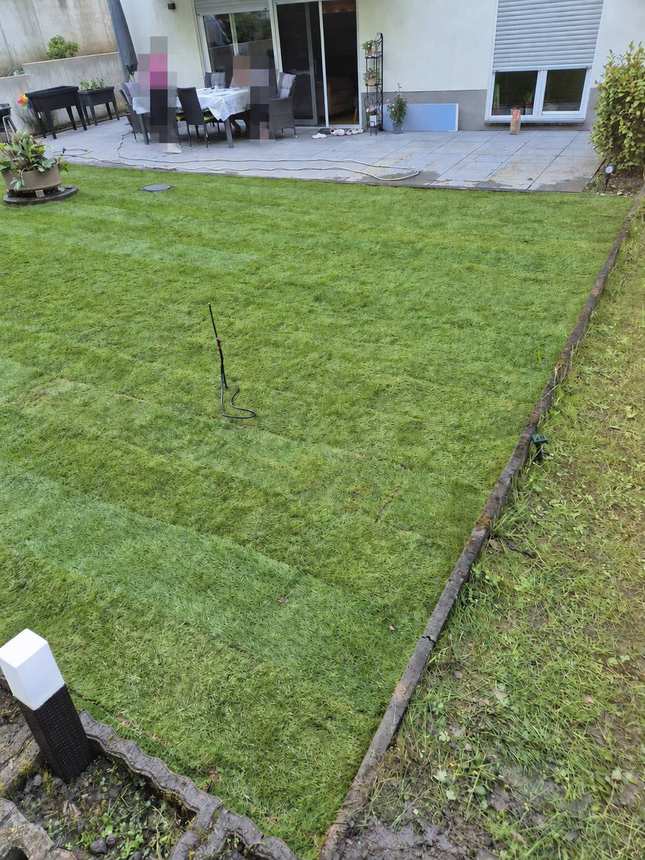 Fertig verlegter Rollrasen nach der Gartenneuanlage