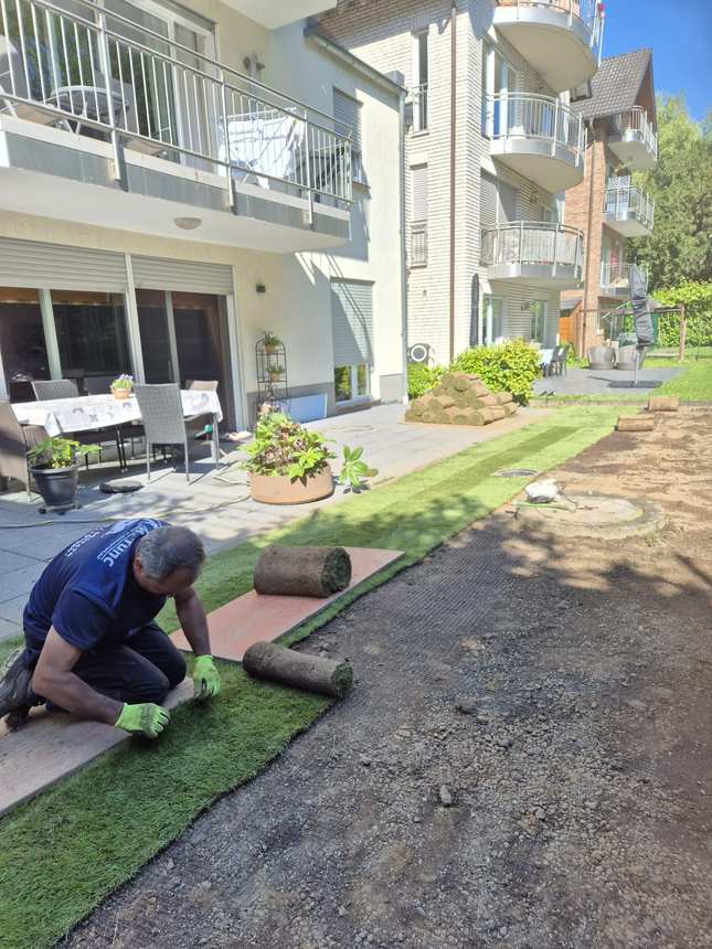 Verlegen von Rollrasen im Garten